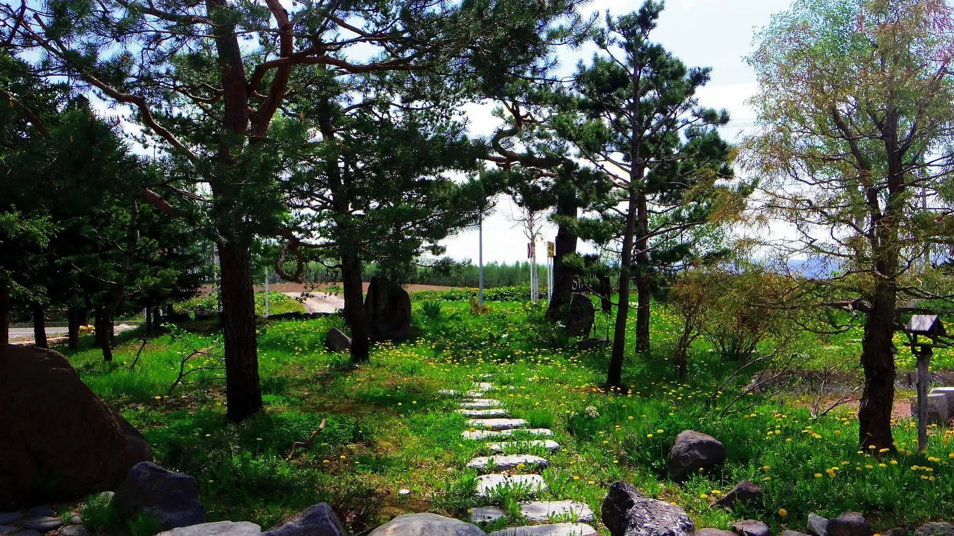 Kunsthaus Pansiyon Biei Japonya
